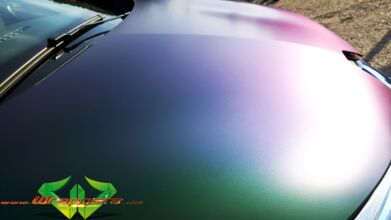 wrappsta.de_carwrapping-vollfolierung_renault-zoe_urban-jungle_12.jpg