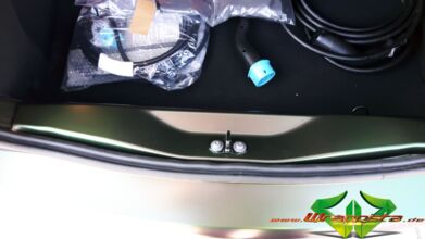 wrappsta.de_carwrapping-vollfolierung_renault-zoe_urban-jungle_14.jpg