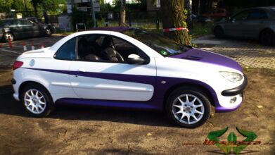 wrappsta.de_carwrapping-autofolierung_peugeot-206cc_matte-purple-metallic_06.jpg