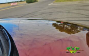 wrappsta.de-carwrapping-vollfolierung-kia_pro_ceed_rt-madeira__red-20.jpg