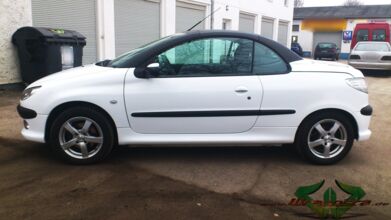 wrappsta.de_carwrapping-autofolierung_Peugeot-206-cc_glanz-weiss_schwarz-carbon_06.jpg