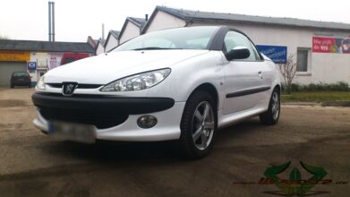 wrappsta.de_carwrapping-autofolierung_Peugeot-206-cc_glanz-weiss_schwarz-carbon_04.jpg