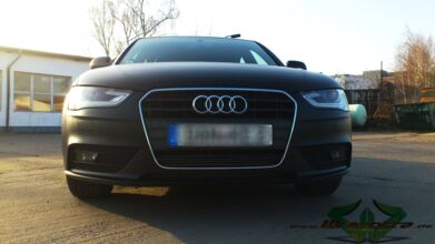 DSC_0732.jpg
