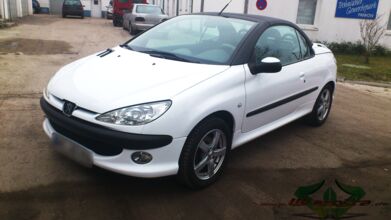 wrappsta.de_carwrapping-autofolierung_Peugeot-206-cc_glanz-weiss_schwarz-carbon_03.jpg