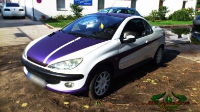 wrappsta.de_carwrapping-autofolierung_peugeot-206cc_matte-purple-metallic_02.jpg