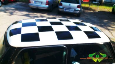 DSC_0113.jpg