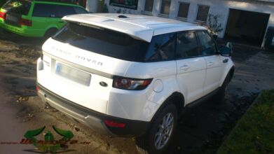 wrappsta.de_carwrapping-teilfolierung_range-rover_glanz-braun_dach_02.jpg