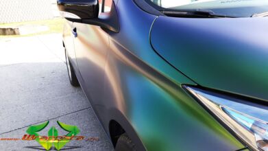 Renault ZOE - Urban Jungle