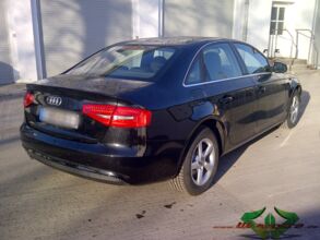Berlin-20130304-00034.jpg