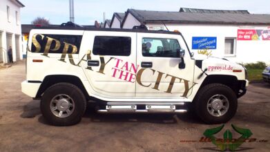 Hummer H2 - gold chrome & pink glitter