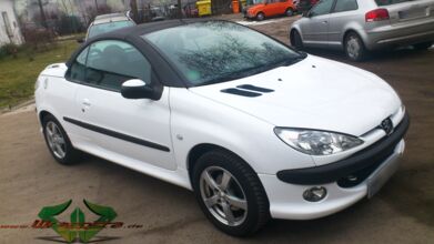 Peugeot 206 CC - glanz Weiß + 3D Carbon schwarz
