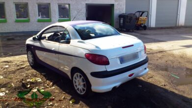 wrappsta.de_carwrapping-autofolierung_peugeot-206cc_matte-purple-metallic_09.jpg