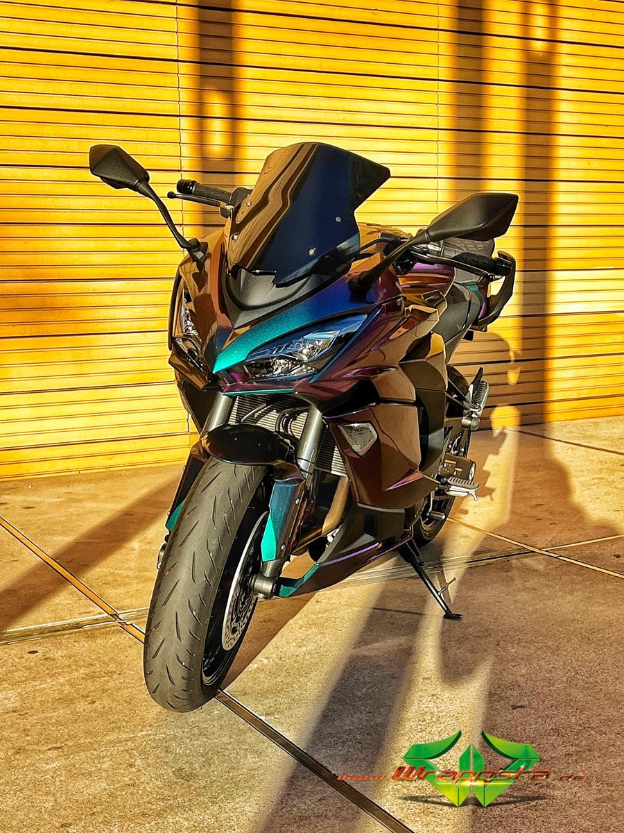 Kawasaki Ninja 1000SX - Colorflow rushing riptide glanz - glanz Schwarz ...
